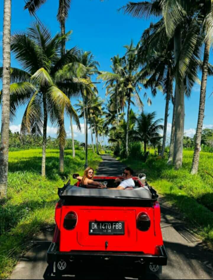 Sunrise Adventure